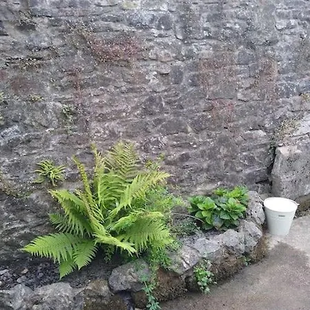2 Bed Pet-free Cottage, Private Garden & Fell View * Arlecdon